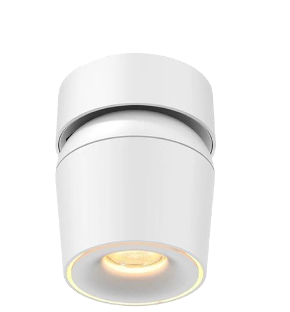 Screenshot 2026-03-14 224802