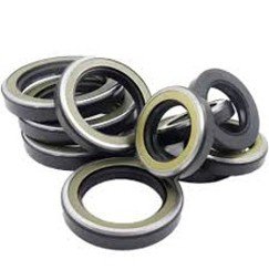 Oil Seals