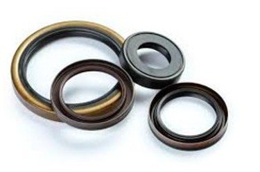 Oil Seals & O Rings